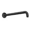 Hansgrohe Aktiva - Sprchové rameno 39 cm | matná černá