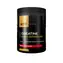 ATP Nutrition Creatine + EAA + Citicoline red blood orange 400 g