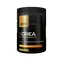 ATP Nutrition CREA PWO Booster mango marakuja 450 g