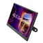 15.6" ASUS ZenScreen MB166CR / LCD / 1920 x 1080 / IPS / 16:9 /5ms / 800:1 / 250cd-m2 / USB-C