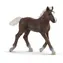Schleich Farm World 13899 Schwarzwaldský kůň hříbě / od 3 let