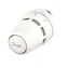 Danfoss Regus termostatická hlavice 015G3630 / M30x1.5