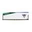 Patriot Viper Elite 5 RGB 16GB (1x16) DDR5 5600MHz bílá / CL38 / XMP 3.0 / AMD EXPO