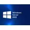 Windows Server 2022 - Kategorie
