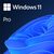 Microsoft Windows 11 Pro CZ 32&64-bit (FPP) / Operační systém / čeština / pro 1 PC přenositelná / Elektronická licence