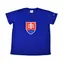 SPORTTEAM Fanouškovské triko SPORTTEAM® Slovenská Republika 5 pánské vel. XL