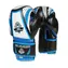 DBX BUSHIDO ARB407v1 6 oz. Boxerské rukavice