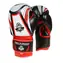 DBX BUSHIDO ARB407v2 6 oz. Boxerské rukavice