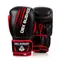 BUSHIDO Boxerské rukavice DBX  ARB-415 14 oz
