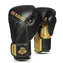 BUSHIDO B-2v14 14 OZ BOXERSKÉ RUKAVICE DBX 