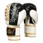 BUSHIDO B-2V16 14 OZ BOXERSKÉ RUKAVICE DBX 