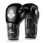BUSHIDO WARRIOR BLACK 12 OZ. BOXERSKÉ RUKAVICE DBX 