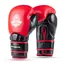 BUSHIDO WARRIOR RED 14 OZ. BOXERSKÉ RUKAVICE DBX 
