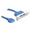 Delock záslepka 1x interní 19pin USB 3.0 - 2 x USB 3.0 A samice externí / nízký profil