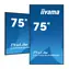 75" IIYAMA LH7565UHSB-B1 / 3840 x 2160 / LED / 16:9 / 8ms / 1200:1 / 800cd-m2 / HDMI / DP / USB
