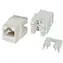 Masterlan Keystone UTP Cat 6 - bílá / samozařezávací