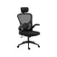 Sandberg ErgoFusion Basic černá / Herní křeslo / ergonomické / nastavitelné
