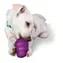 PetSafe Squirrel Dude S / Hračka pro psa / Vhodná pro psy s váhou od 4.5 - 9 kg
