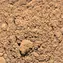 Lucky Reptile Desert Bedding 7L