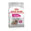 Royal Canin Mini Exigent 1 kg / Granule pro psy / od 1 do 10 kg / vybíravé