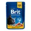 Brit Premium Cat Pouches with Salmon & Trout 100 g / Kapsičky pro kočky