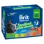 Brit Premium Cat Pouches Sterile Plate (12x100 g) 1.2 kg / Kapsičky pro kočky