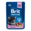 Brit Premium Cat Pouches with Fish Kitten 100 g / Kapsičky pro kočky