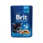 Brit Cat Premium Pouches kuřecí kousky pro koťata 100g / Kapsička pro kočky