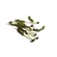RidgeMonkey Rovnátko Connexion D-Rig Kickers Medium Weed Green 10ks