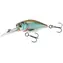 Savage Gear Wobler Petit Gravity Crank DR 4cm 5,3g F Clear Roach