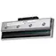 TSC Tisková hlava 203 dpi pro TTP-2410MT