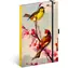 NOTIQUE Notes Ptáčci – sakura Kateřiny Winterové, linkovaný, 13 x 21 cm
