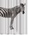 Spirella ZEBRA sprchový závěs 180 x 200 cm bílo-černý / polyester