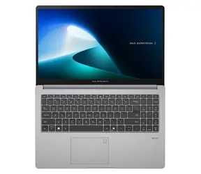 ASUS ExpertBook P1 P1503CVA šedá / Notebook / 15,6" FHD / Intel Core 3 100U / 8GB / 256GB SSD / W11P