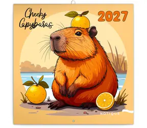 NOTIQUE Poznámkový kalendář Rozverné kapybary 2027 / Nástěnný kalendář / 30 × 30 cm