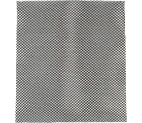 Sencor SHX 6025 / Karbonový filtr / pro Sencor SDH 6025WH / 2 ks