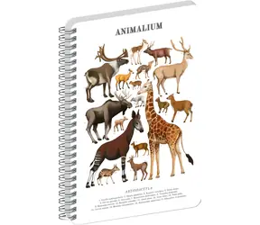 NOTIQUE Animalium – Sudokopytníci / Spirálový blok / A5 / Čistý