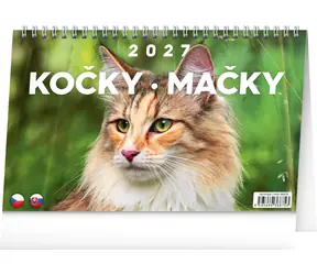 NOTIQUE Kočky – Mačky 2027 / Stolní kalendář / CZ/SK / 23,1 × 14,5 cm