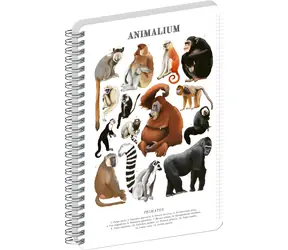 NOTIQUE Animalium – Primáti / Spirálový blok / A5 / čtverečkovaný