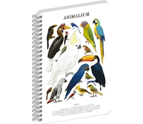 NOTIQUE Animalium – Ptáci / Spirálový blok / A5 / Čistý