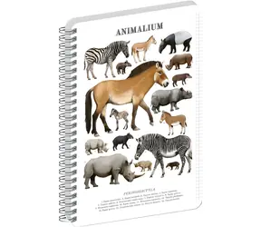 NOTIQUE Animalium – Lichokopytníci / Spirálový blok / A5 / čtverečkovaný