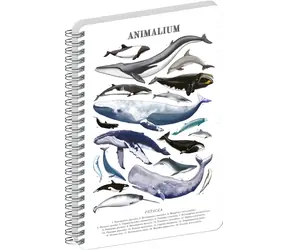 NOTIQUE Animalium – Pod mořem / Spirálový blok / linkovaný / A5