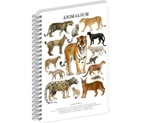 NOTIQUE Animalium Kočkovité šelmy / Spirálový blok / A5 / čtverečkovaný