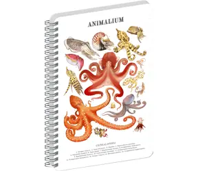 NOTIQUE Animalium – Hlavonožci / Spirálový blok / linkovaný / A5