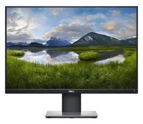 24.1" DELL P2421 černá / Monitor / IPS / WUXGA / 16:10 / HDMI+DP