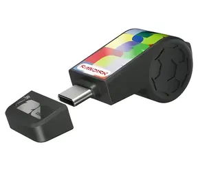 SanDisk FIFA World Cup 2026 64 GB / Flash Disk / USB-C