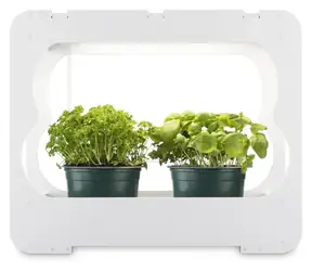 Xavax Growing Station / Pěstební stanice / LED lampa full-spectrum / 3 × o 10 cm / 16h/8h cyklus