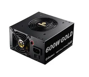 ENERMAX Revolution Duo ERD600AWL-F / Zdroj / 600W / 80PLUS Gold / Dual Fan