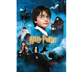 THUMBSUP! Puzzle Harry Potter a Kámen mudrců / 50 dílků