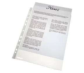 Leitz Esselte Economy / Euroobal / A4 / 43 mic / 100 ks